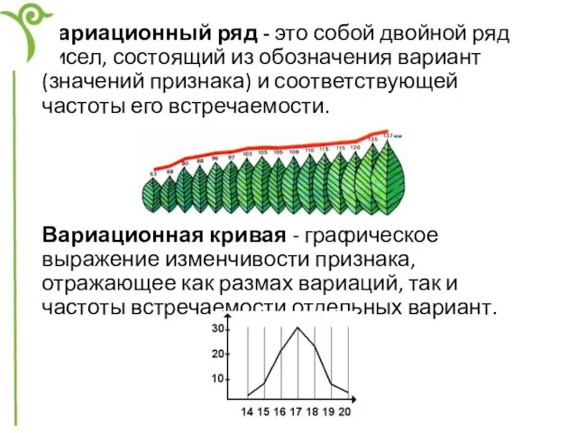 Вариационный ряд - это собой двойной ряд чисел, состоящий из