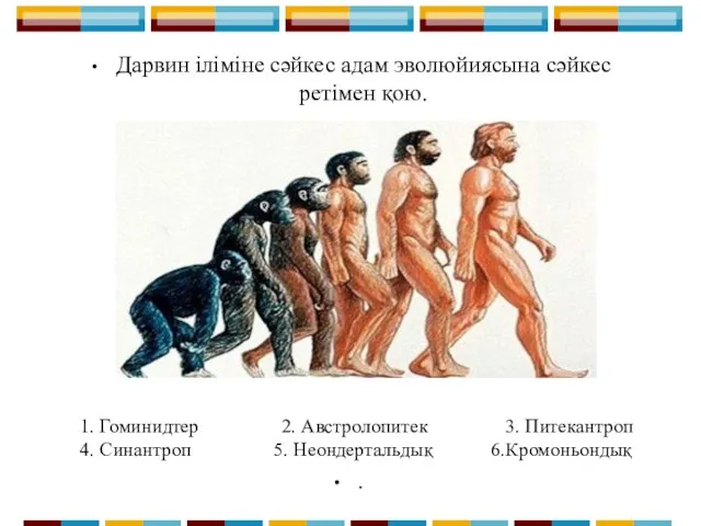 Дарвин іліміне сәйкес адам эволюйиясына сәйкес ретімен қою. 1. Гоминидтер 2. Австролопитек 3.