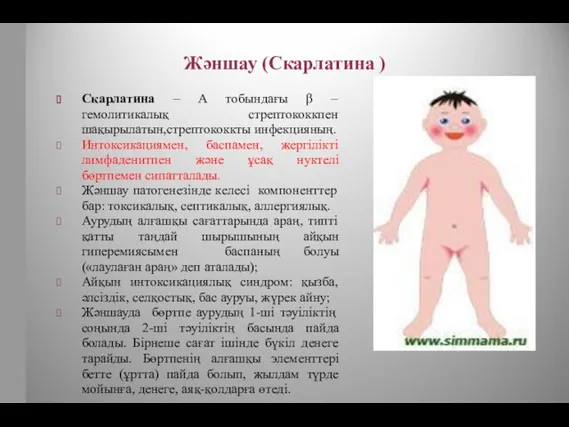 Жәншау (Скарлатина ) Скарлатина – А тобындағы β – гемолитикалық