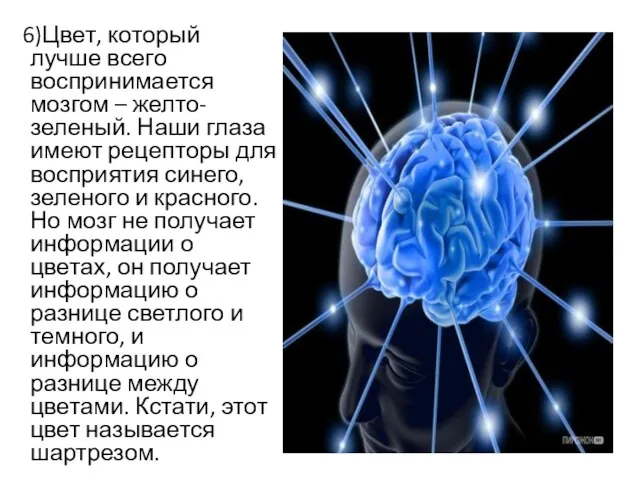 6)Цвет, который лучше всего воспринимается мозгом – желто-зеленый. Наши глаза