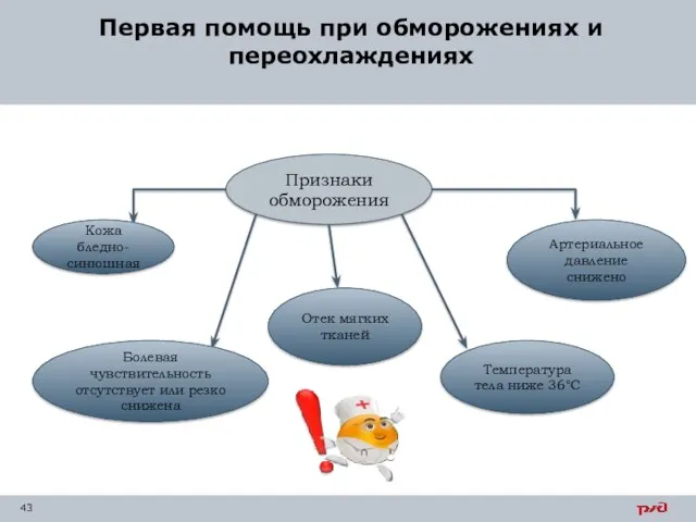 Первая помощь при обморожениях и переохлаждениях Признаки обморожения Кожа бледно-синюшная