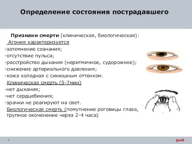 Определение состояния пострадавшего Признаки смерти (клиническая, биологическая): Агония характеризуется затемнение