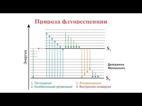 Природа флуоресценции Диаграмма Яблонского