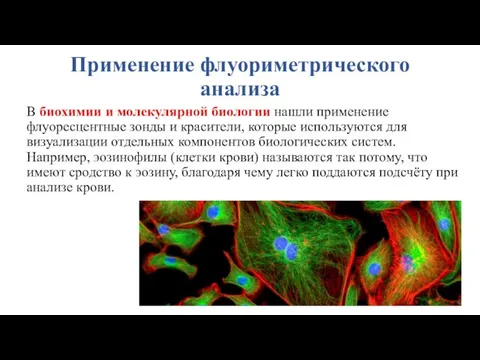 Применение флуориметрического анализа В биохимии и молекулярной биологии нашли применение флуоресцентные зонды и