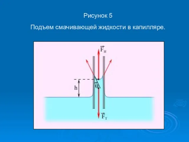 Рисунок 5 Подъем смачивающей жидкости в капилляре.