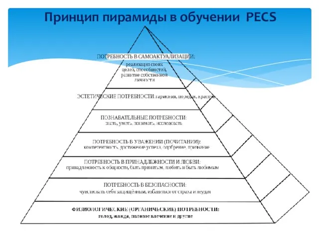 Принцип пирамиды в обучении PECS