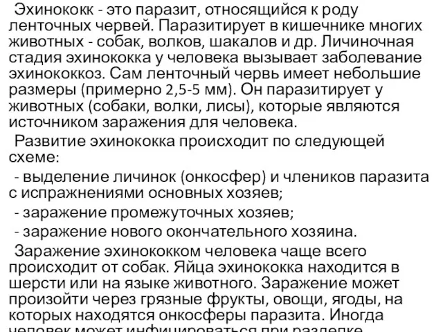 Эхинококк - это паразит, относящийся к роду ленточных червей. Паразитирует