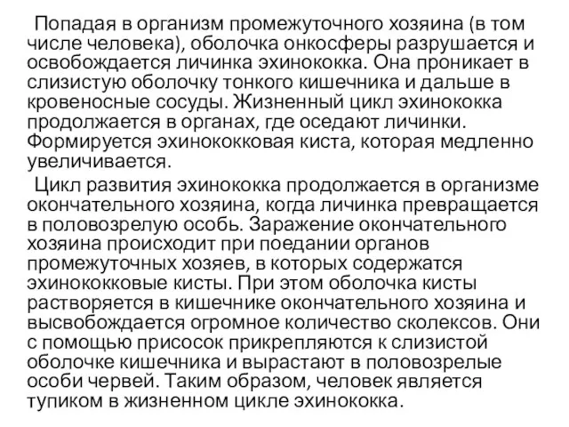 Попадая в организм промежуточного хозяина (в том числе человека), оболочка