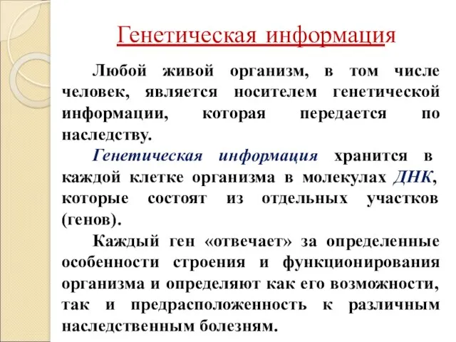 Генетическая информация Любой живой организм, в том числе человек, является