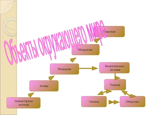 Элементарные частицы Атомы Молекулы Макротела Галактики Объекты окружающего мира Биологические системы Человек Техника Общество