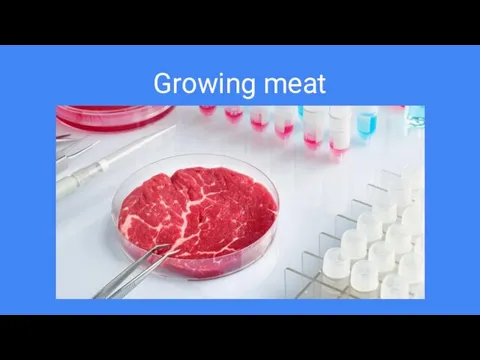 Growing meat