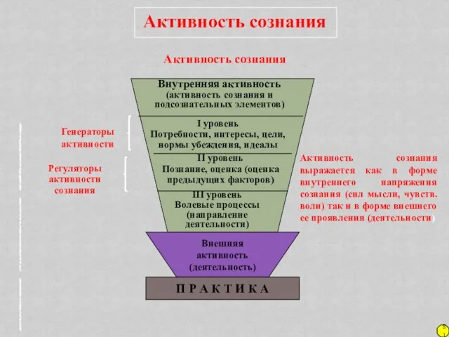 81 Активность сознания Структура активности сознания Внешняя активность (деятельность) П