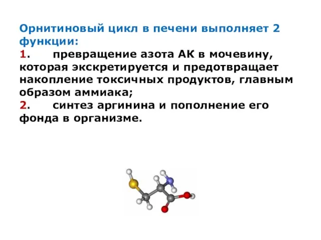 Орнитиновый цикл в печени выполняет 2 функции: 1. превращение азота