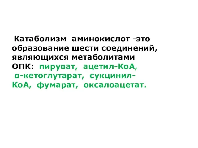 Катаболизм аминокислот -это образование шести соединений, являющихся метаболитами ОПК: пируват, ацетил-КоА, α-кетоглутарат, сукцинил-КоА, фумарат, оксалоацетат.