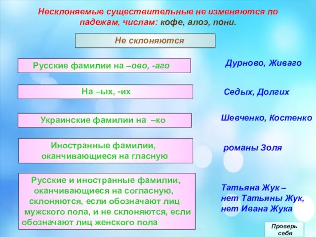 Несклоняемые существительные не изменяются по падежам, числам: кофе, алоэ, пони. Не склоняются Проверь себя