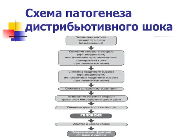 Схема патогенеза дистрибьютивного шока