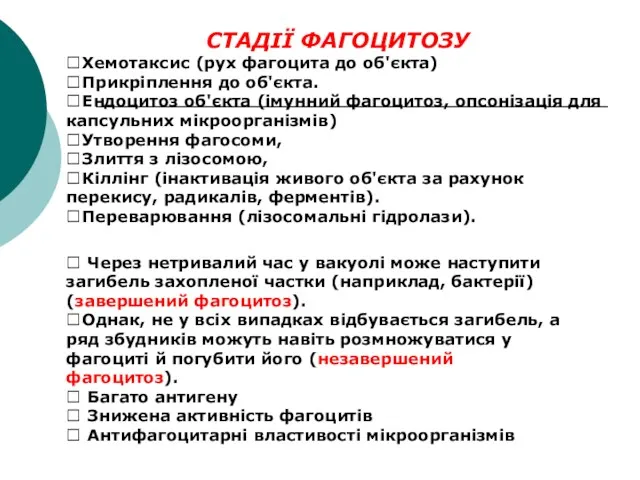 СТАДІЇ ФАГОЦИТОЗУ Хемотаксис (рух фагоцита до об'єкта) Прикріплення до об'єкта.