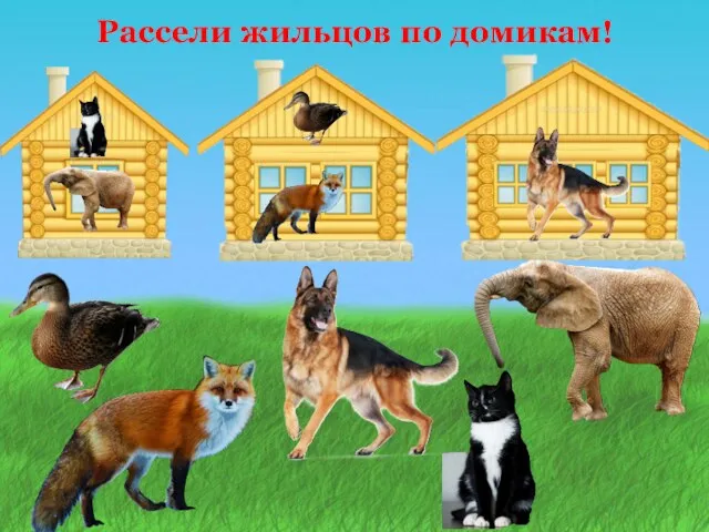 Рассели жильцов по домикам!