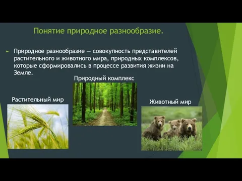 Понятие природное разнообразие. Природное разнообразие — совокупность представителей растительного и