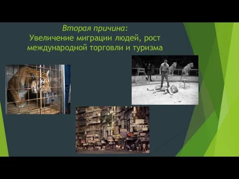 Вторая причина: Увеличение миграции людей, рост международной торговли и туризма