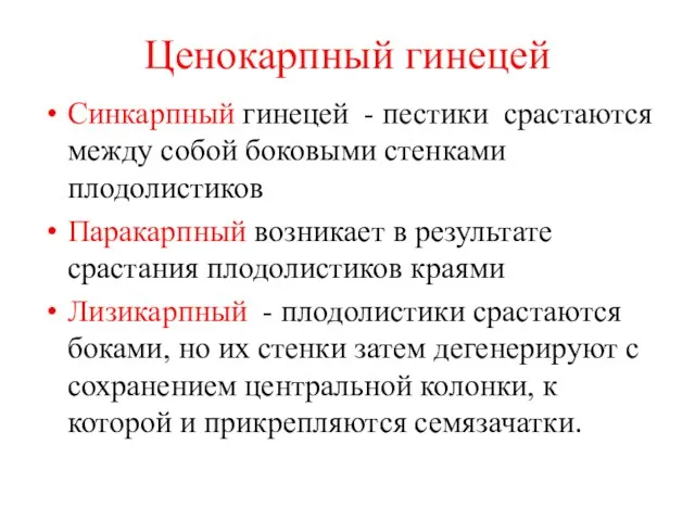 Ценокарпный гинецей Синкарпный гинецей - пестики срастаются между собой боковыми