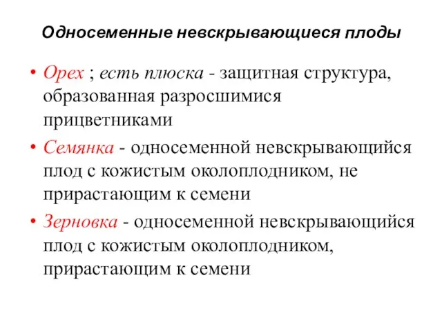 Односеменные невскрывающиеся плоды Орех ; есть плюска - защитная структура,