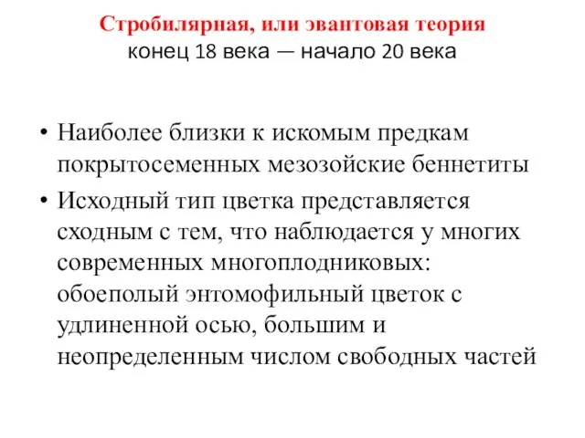 Стробилярная, или эвантовая теория конец 18 века — начало 20