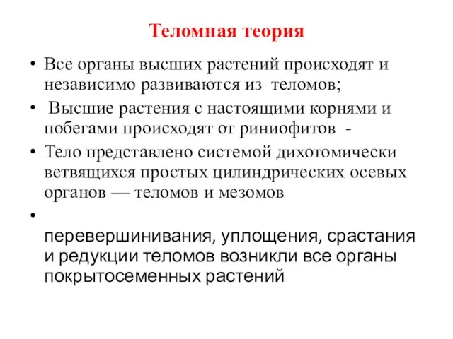 Теломная теория Все органы высших растений происходят и независимо развиваются