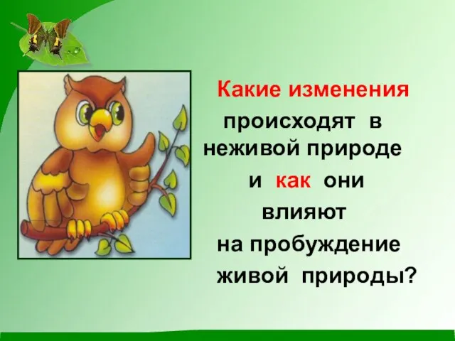 Какие изменения происходят в неживой природе и как они влияют на пробуждение живой природы?