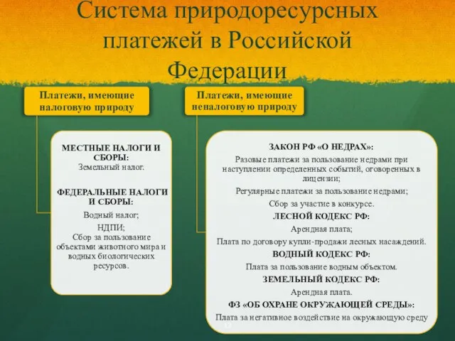 Система природоресурсных платежей в Российской Федерации
