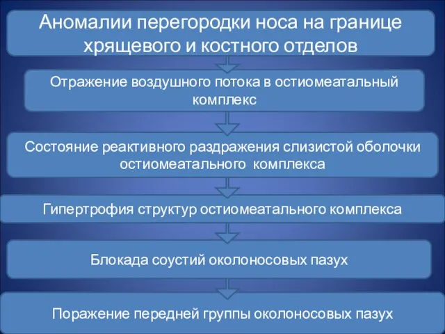 Аномалии перегородки носа на границе хрящевого и костного отделов Отражение