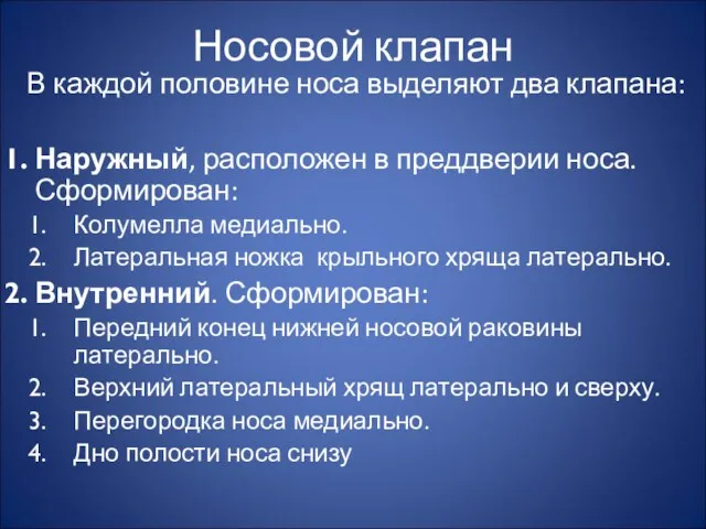 Носовой клапан В каждой половине носа выделяют два клапана: Наружный,