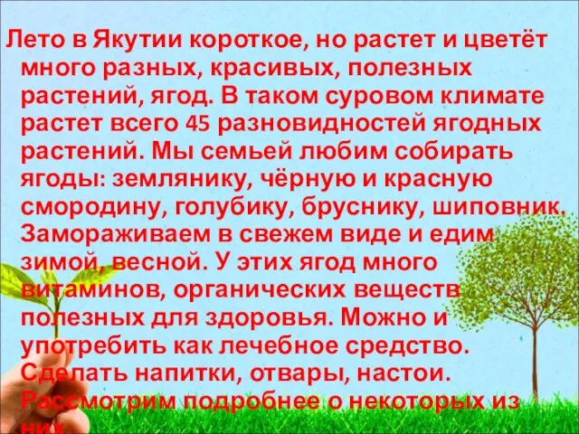 Лето в Якутии короткое, но растет и цветёт много разных,