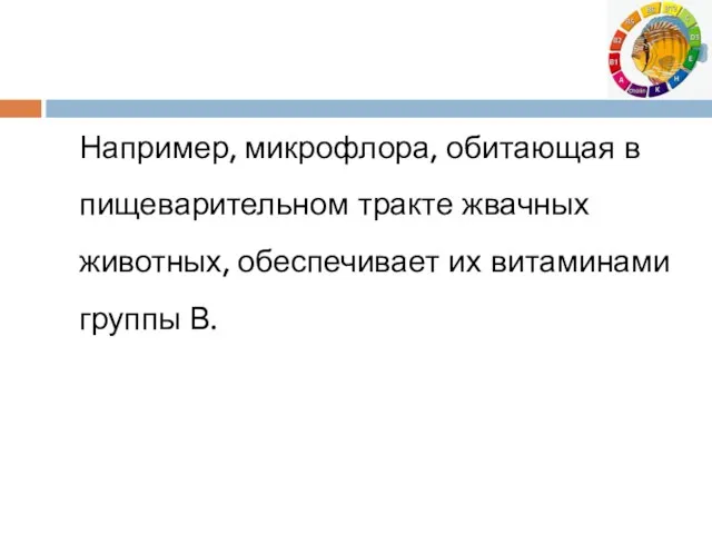 Например, микрофлора, обитающая в пищеварительном тракте жвачных животных, обеспечивает их витаминами группы В.