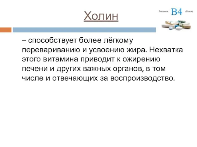 Холин – способствует более лёгкому перевариванию и усвоению жира. Нехватка