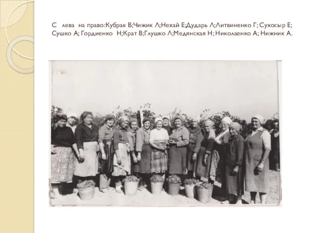 С лева на право:Кубрак В;Чижик Л;Нехай Е;Дударь Л;Литвиненко Г; Сухосыр