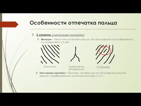 Особенности отпечатка пальца 2 уровень (локальные признаки) Минуции - такие