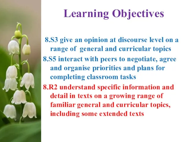 Learning Objectives 8.S3 give an opinion at discourse level on