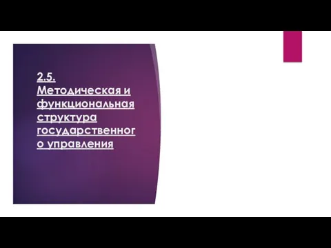 2.5. Методическая и функциональная структура государственного управления