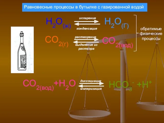 H2O(ж) испарение конденсация Н2О(Г) CO2(г) СО2(вод) растворение выделение из раствора