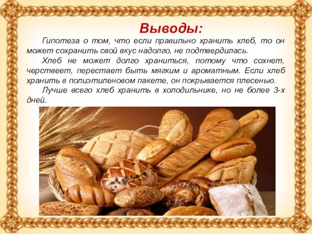 Выводы: Гипотеза о том, что если правильно хранить хлеб, то