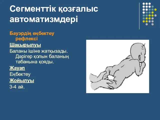 Сегменттік қозғалыс автоматизмдері Бауэрдің еңбектеу рефлексі Шақырылуы Баланы ішіне жатқызады.