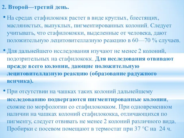 2. Второй—третий день. На средах стафилококк растет в виде круглых,