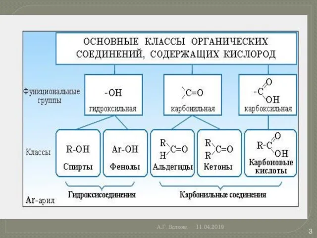 А.Г. Волкова 11.04.2019