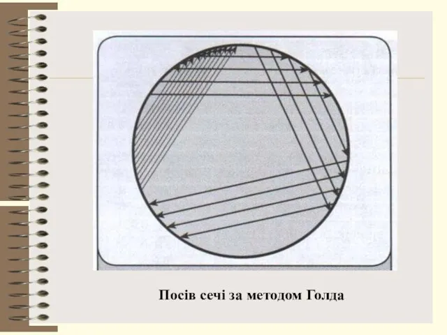 Посів сечі за методом Голда