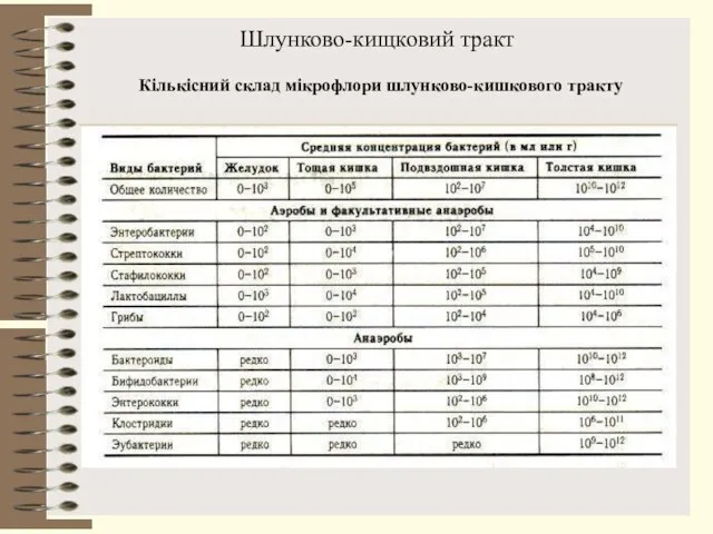 Шлунково-кищковий тракт Кількісний склад мікрофлори шлунково-кишкового тракту