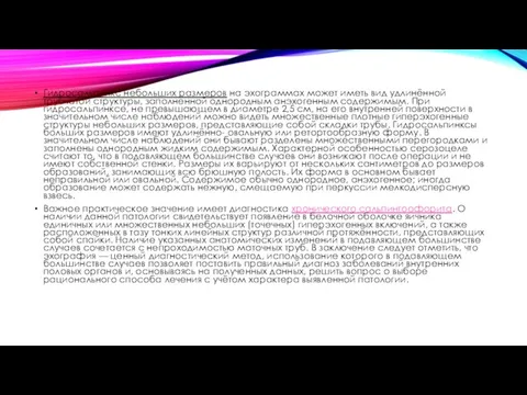 Гидросальпинкс небольших размеров на эхограммах может иметь вид удлинённой трубчатой