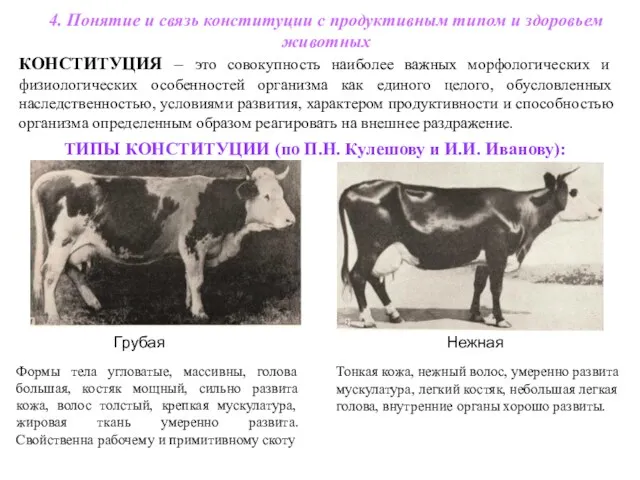 4. Понятие и связь конституции с продуктивным типом и здоровьем