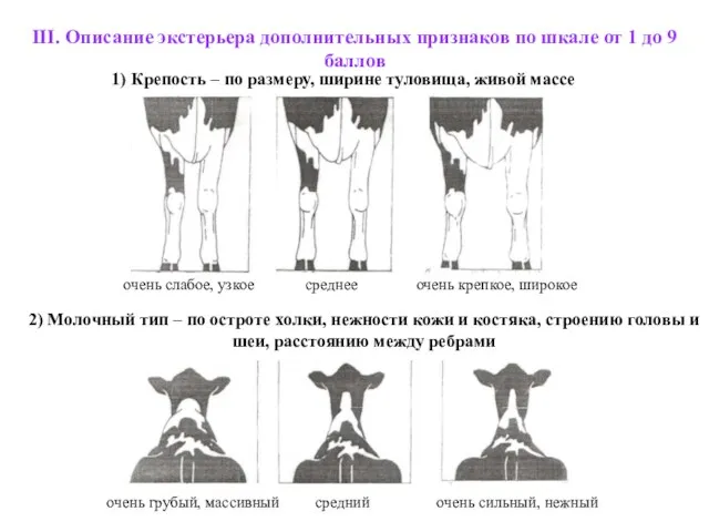 III. Описание экстерьера дополнительных признаков по шкале от 1 до