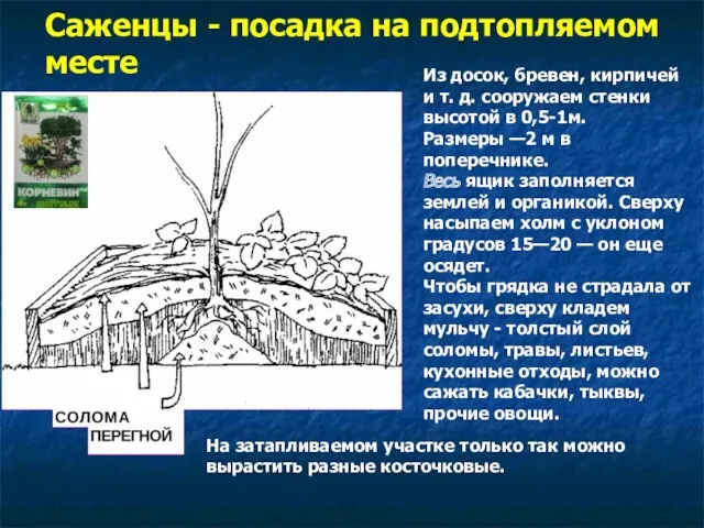 Саженцы - посадка на подтопляемом месте Из досок, бревен, кирпичей